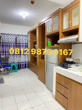Sewa Apartemen 2 BR Skyview BSD