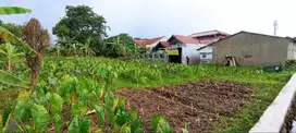 Kapling Launching Ciomas, Dekat Perumahan Casa Laladon
