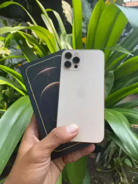 Iphone 12 pro 256gb