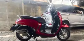 Scoopy pristige