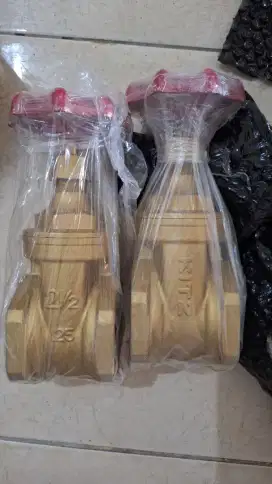 Gate valve 2 1/2 kitz original