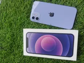 iPhone 12 128Gb iBox Garansi on