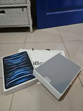iPad Pro 11 inch iBox