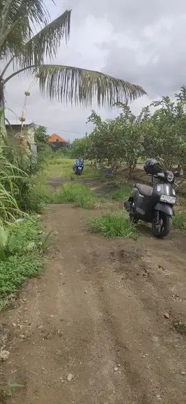Di jual tanah lokasi Abianbase, kapal, Bali