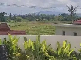 Dijual tanah dekat pantai luas 300m²