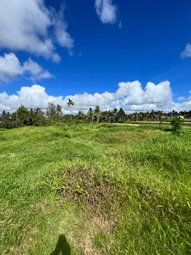 Di jual tanah lingkungan jl, Cinta Tegallalang ubud gianyar bali