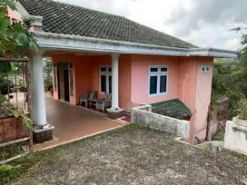 LELANG VILLA VIEW PEGUNUNGAN LUMBUNG REJO PRIGEN JAWA TIMUR