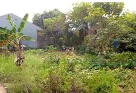 Tanah 28 Are Siap Bangun Dijual, di Ubud