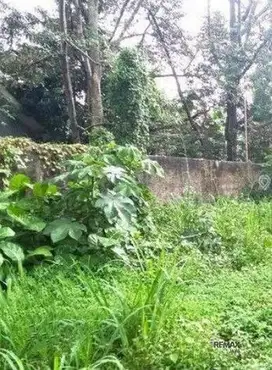 Tanah 24 Are Lokasi Bagus Dijual, di Gianyar