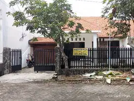 Dikontrakkan rmh Medokan Rungkut Sby