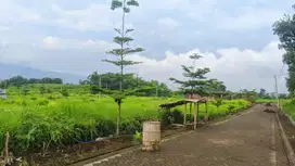 Tanah Kavling 3 Menit Kampus UIN 3 Malang Kedokteran Bisa Bangun Kos