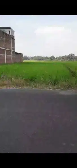 Tanah Pekarangan 770m2 Starategis dekat pasar nanggulan kulon progo