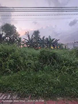 Tanah di Medokan Ayu Tambak Rungkut