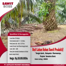Lahan kebun sawit produktif