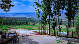 Tanah Kebun Murah Bogor, Terjangkau untuk Investasi & Wisata Keluarga