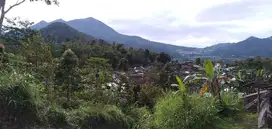 Tanah asri ditawangmangu