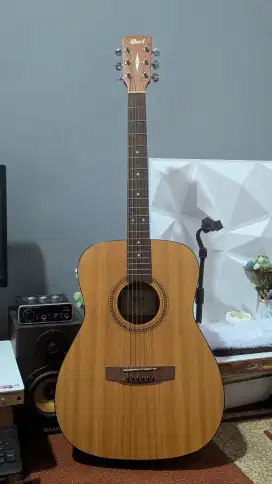 Gitar cort AF 505 OP