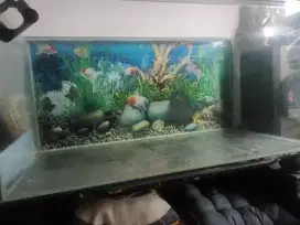 Jual aquarium bekas