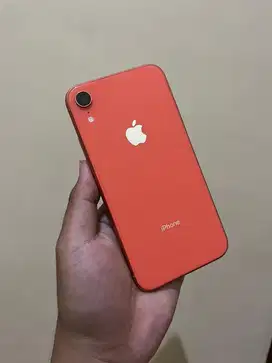 Iphone Xr 256gb Beacukai