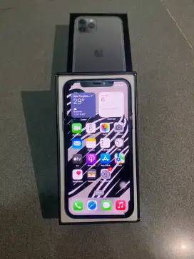Iphone 1 1pro 64 gb fulset