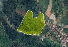248,5 Are Land in Farm Area Kubutambahan, Buleleng, Near to Kintamani