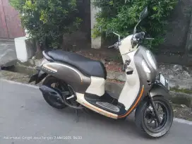 Scoopy 2023 ad solo muluss