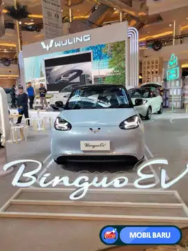 [Mobil Baru] Binguo ev 410dc premium