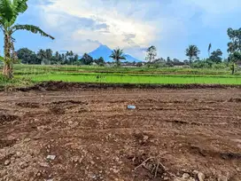 Tanah Palagan 1 Jutaan View Hamparan Sawah dan Merapi