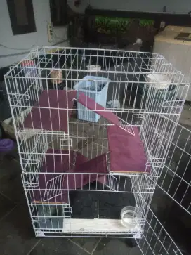 Kandang kucing 3 tingkat