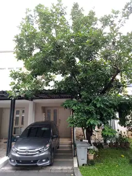 DIJUAL RUMAH FULL RENOVASI Cluster Thomson Gading Serpong
