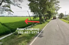 Tanah di Nganjuk Lengkong