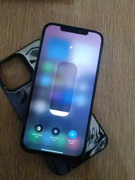 iphone 12Promax 256gb
