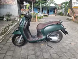 Scoopy keyless mulus