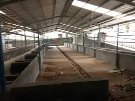Dijual kandang sapi siap pakai di sukabumi