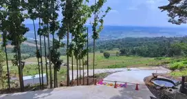 Tanah kebun  dijual bonus bibit tanaman rimpang