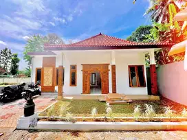 Rumah Tanah Luas di Borobudur: Investasi Properti + Bisnis Homestay