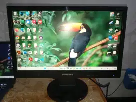 Monitor LCD SAMSUNG 19 inch wide screen normal