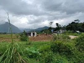 Tanah di lokasi alam. pegunungan di Bogor