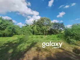 TANAH SIAP BANGUN DI GREENLOT SAMBANDHA MUNGGU MENGWI BADUNG, BALI