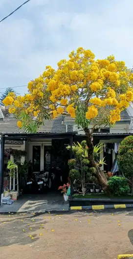 TURUN HARGA RUMAH SIAP HUNi KOMPLEK PNM CILENYI. BANDUNG