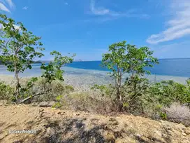 DIJUAL TANAH DI TELUK RANGKO LABUAN BAJO