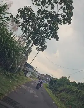 Tanah kebun jeruk dan kandang pandanrejo wagir pinggir jalan raya