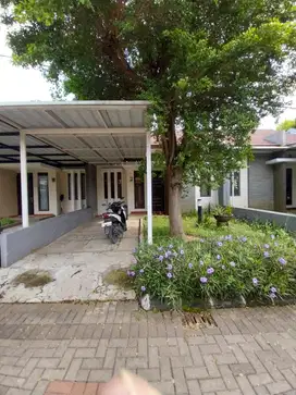 Rumah minimalis lokasi strategis aman nyaman asri di Grand Sharon