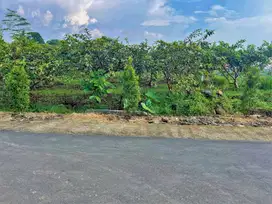 Tanah 350 Juta Strategis Bangun Villa Wisata Kemuning