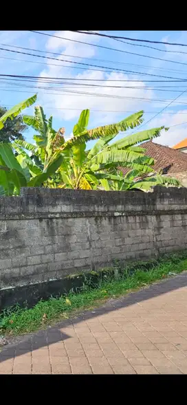 Di jual tanah lokasi Abianbase, Kapal, Badung , Bali