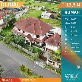 Dijual Rumah Mewah Tropis Modern i Jalan Utama Puncak Tidar, Malang