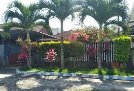 Rumah Murah Area Jl Bungur Melati Luas 236 m2 Dekat Suhat Malang