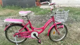 Jual mini ukuran 20 incj