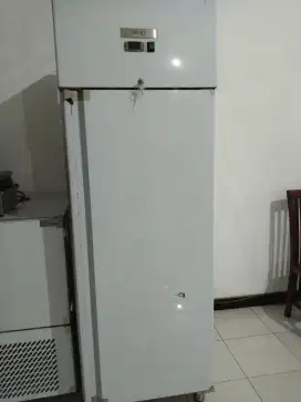 FISH CHILLER 1 DOOR + RACK