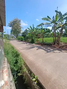 Tanah dekat undip tembalang untuk perumahan bisa kredit angsur cicil